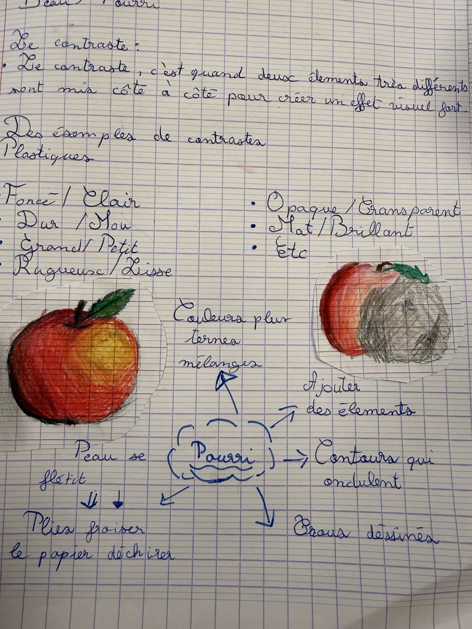 La plus belle corbeille de fruits pourris 6ème